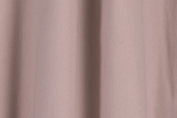 Safran Desertum - Image 7