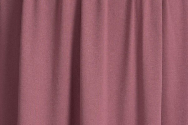 Canna Rosea - Image 4